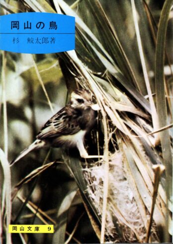 9.岡山の鳥