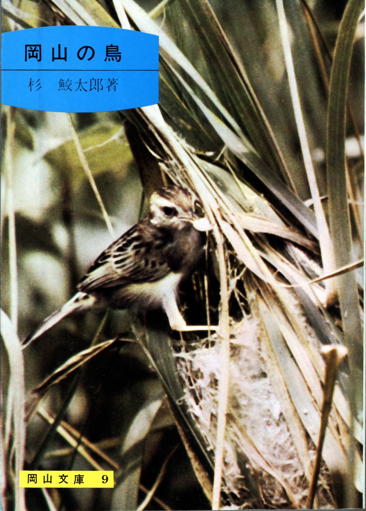 9.岡山の鳥