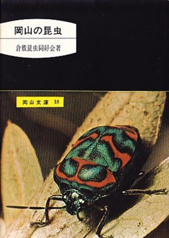 18.岡山の昆虫